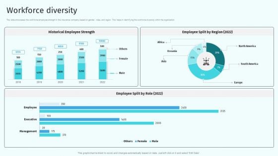 Workforce Diversity Health And Property Insurance Company Profile Brochure PDF