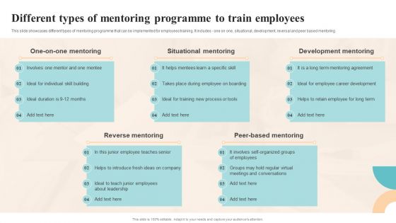 Workforce Growth And Improvement Different Types Of Mentoring Programme Professional PDF