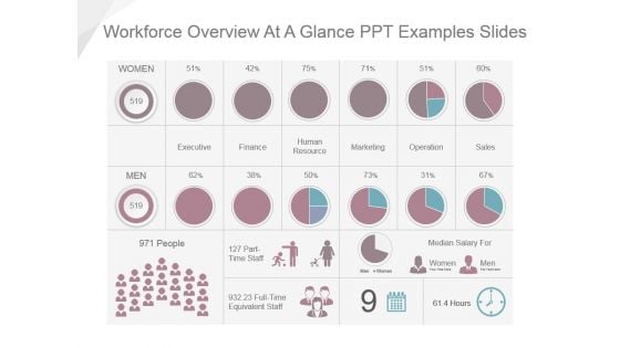 Workforce Overview At A Glance Ppt Examples Slides