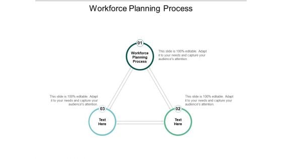 Workforce Planning Process Ppt Powerpoint Presentation Professional Graphics Template Cpb