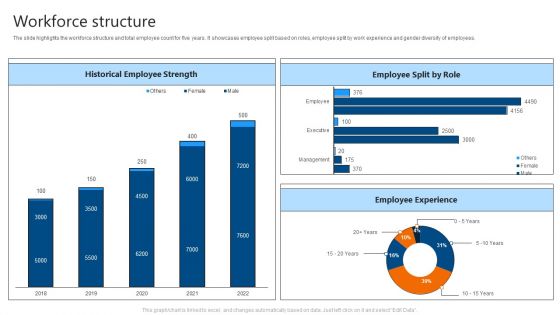 Workforce Structure IT Software Development Company Profile Structure PDF