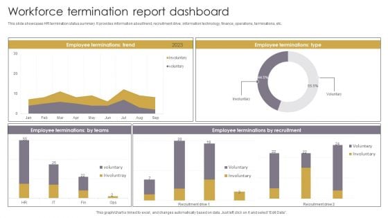 Workforce Termination Report Dashboard Professional PDF