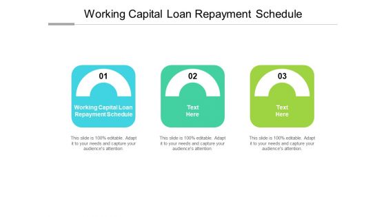 Working Capital Loan Repayment Schedule Ppt PowerPoint Presentation Icon Structure Cpb