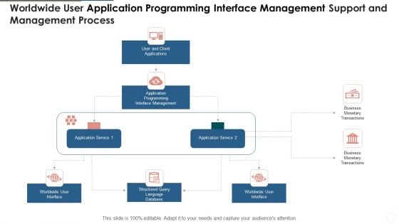 Worldwide User Application Programming Interface Management Support And Management Process Guidelines PDF