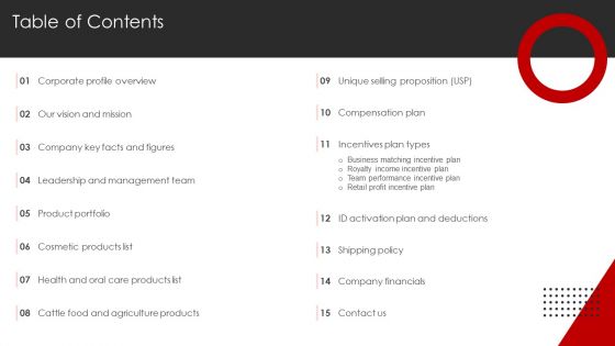 YASHBIZ Marketing Business Profile Table Of Contents Diagrams PDF