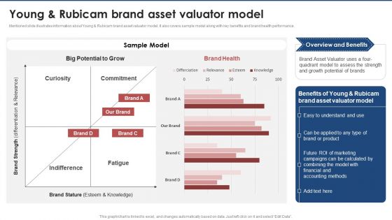 Young And Rubicam Brand Asset Valuator Model Brand Value Estimation Guide Icons PDF