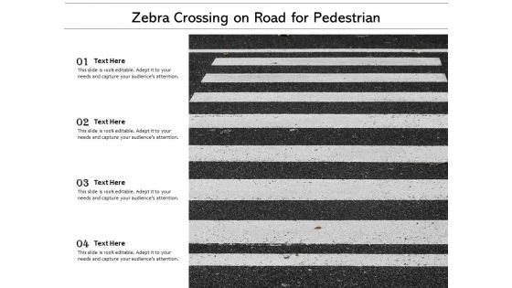 Zebra Crossing On Road For Pedestrian Ppt PowerPoint Presentation Layouts Display