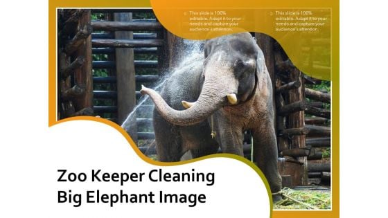 Zoo Keeper Cleaning Big Elephant Image Ppt PowerPoint Presentation Slides Graphics Template PDF