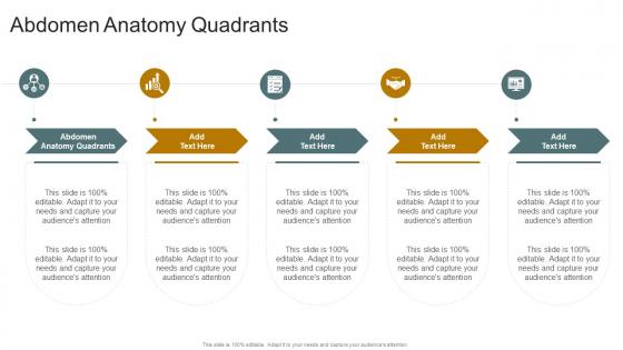 Abdomen Anatomy Quadrants In Powerpoint And Google Slides Cpb