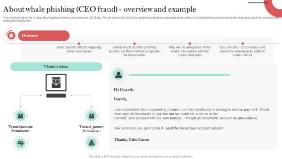 About Whale Phishing CEO Fraud Overview Man In The Middle Phishing IT