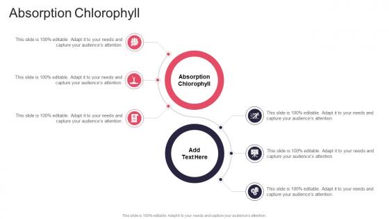 Absorption Chlorophyll In Powerpoint And Google Slides Cpb