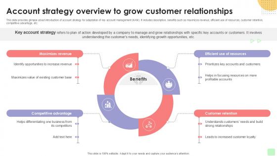 Account Strategy Overview Detailed Business Account PPT Template Strategy SS V