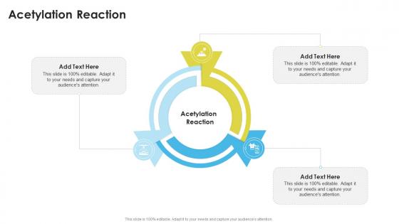 Acetylation Reaction In Powerpoint And Google Slides Cpb