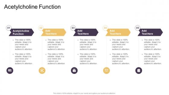 Acetylcholine Function In Powerpoint And Google Slides Cpb