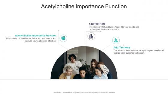 Acetylcholine Importance Function In Powerpoint And Google Slides Cpb