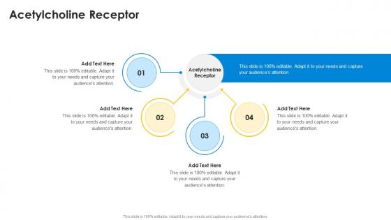 Acetylcholine Receptor In Powerpoint And Google Slides Cpb