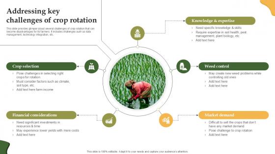 Addressing Key Challenges Of Crop Enhancing Productivity With Adoption PPT Template Addressing Key Challenges Of Crop Enhancing Productivity With Adoption PPT Template