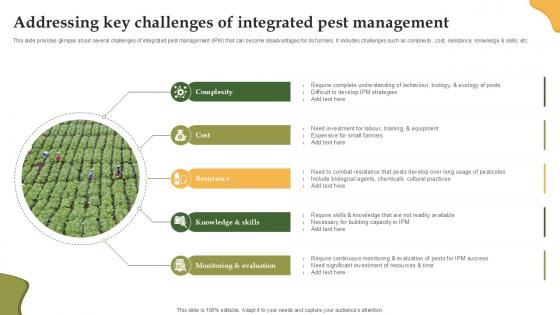 Addressing Key Challenges Of Integrated Enhancing Productivity With Adoption PPT PowerPoint Addressing Key Challenges Of Integrated Enhancing Productivity With Adoption PPT PowerPoint