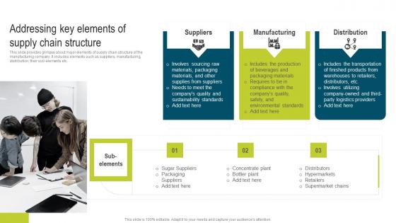 Addressing Key Elements Of Supply Chain Developing Extensive Plan For Operational Sample Pdf