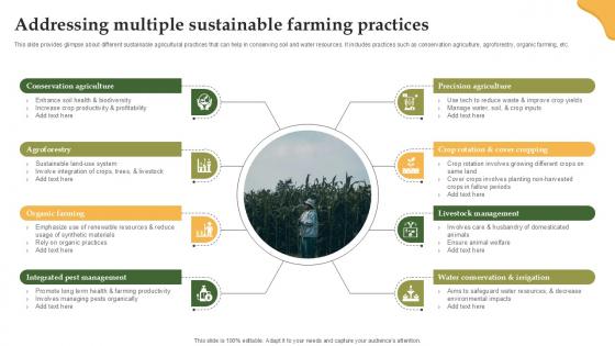 Addressing Multiple Sustainable Enhancing Productivity With Adoption PPT Template