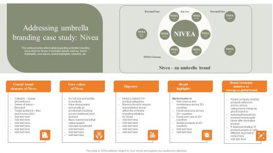 Addressing Umbrella Branding Case Study Nivea Strategies For Achieving Structure Pdf