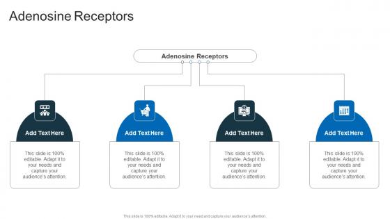 Adenosine Receptors In Powerpoint And Google Slides Cpb