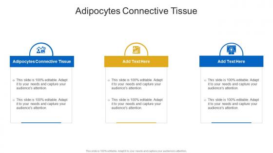 Adipocytes Connective Tissue In Powerpoint And Google Slides Cpb