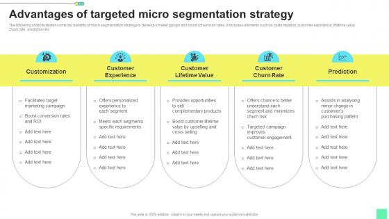 Advantages Of Targeted Micro Introduction To Niche Marketing Audience Segmentation Summary Pdf