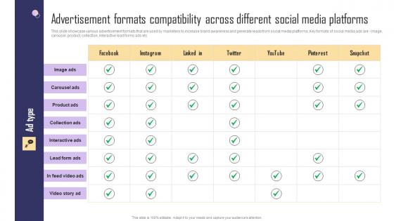 Advertisement Formats Compatibility Across Different Paid Internet Marketing Strategy Infographics Pdf