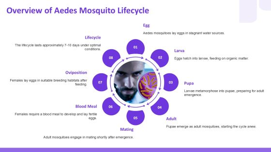 Aedes Egg Development Lifecycle Analysis PPT Slides AT Slide04