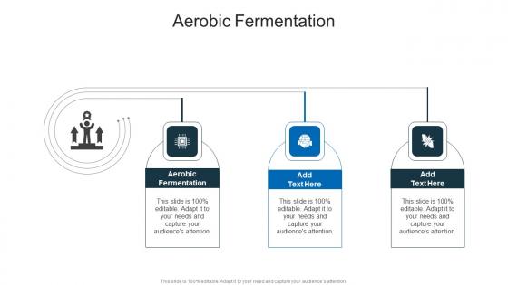 Aerobic Fermentation In Powerpoint And Google Slides Cpb