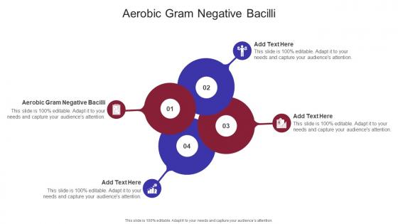 Aerobic Gram Negative Bacilli In Powerpoint And Google Slides Cpb Aerobic Gram Negative Bacilli In Powerpoint And Google Slides Cpb