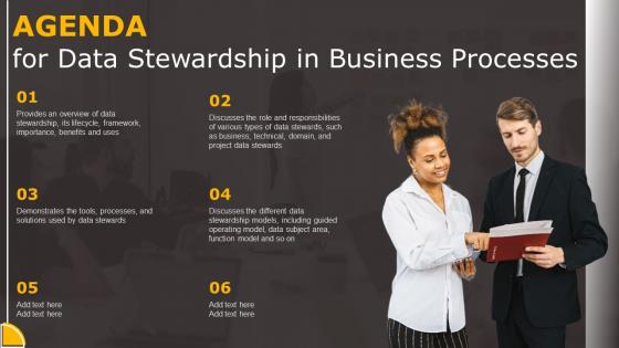 Agenda For Data Stewardship In Business Processes Slides Pdf