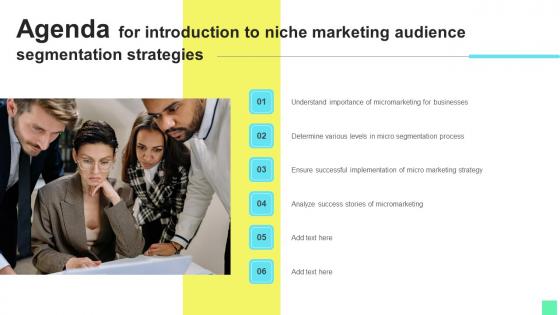 Agenda For Introduction To Niche Marketing Audience Segmentation Strategies Icons Pdf