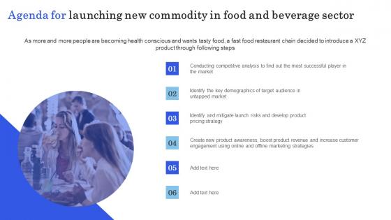 Agenda For Launching New Commodity In Food And Beverage Sector Summary Pdf