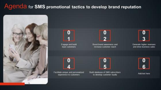 Agenda For SMS Promotional Tactics To Develop Brand Reputation Brochure PDF