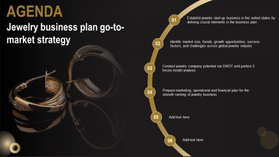 Agenda Jewelry Business Plan Go To Market Strategy Information Pdf