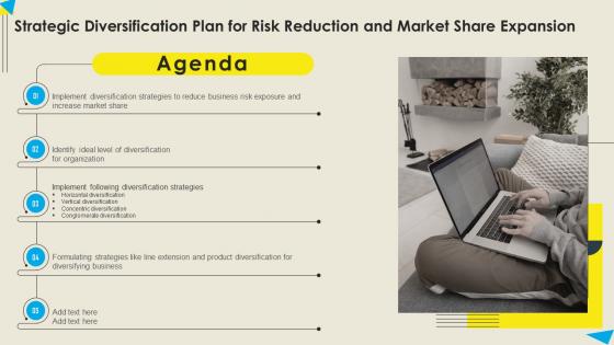 Agenda Strategic Diversification Plan For Risk Reduction And Market Share Expansion Designs PDF