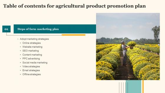 Agricultural Product Promotion Plan Table Of Contents Slides Pdf