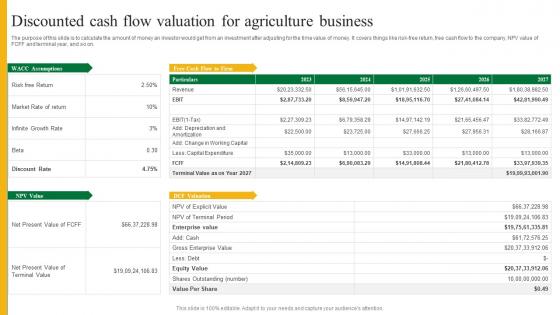 Agriculture Business Plan Go To Market Strategy Discounted Cash Flow Valuation Agriculture Rules Pdf