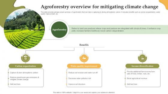 Agroforestry Overview For Mitigating Enhancing Productivity With Adoption PPT Sample Agroforestry Overview For Mitigating Enhancing Productivity With Adoption PPT Sample