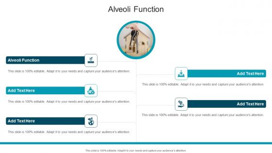 Alveoli Function In Powerpoint And Google Slides Cpb