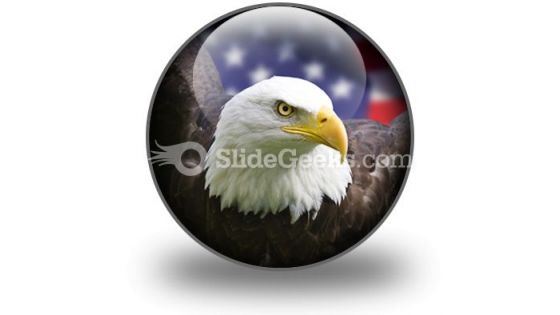 American Eagle01 PowerPoint Icon C