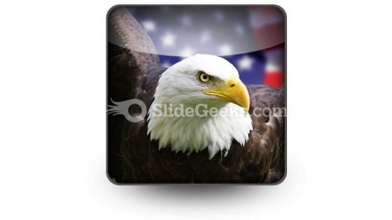 American Eagle01 PowerPoint Icon S