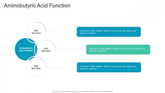 Aminobutyric Acid Function In Powerpoint And Google Slides Cpb