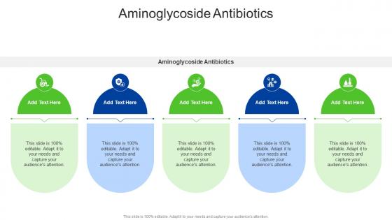 Aminoglycoside Antibiotics In Powerpoint And Google Slides Cpb