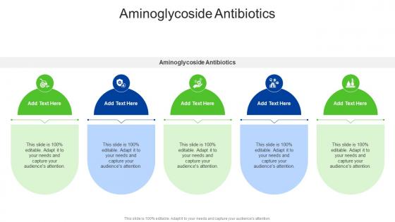 Aminoglycoside Antibiotics In Powerpoint And Google Slides Cpb