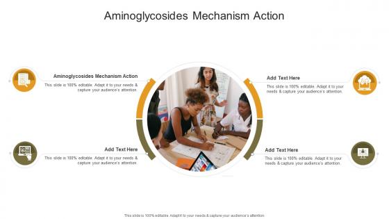 Aminoglycosides Mechanism Action In Powerpoint And Google Slides Cpb