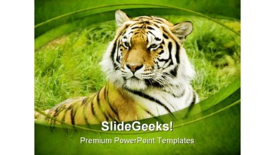 Amur Tiger Animals PowerPoint Templates And PowerPoint Backgrounds 0111