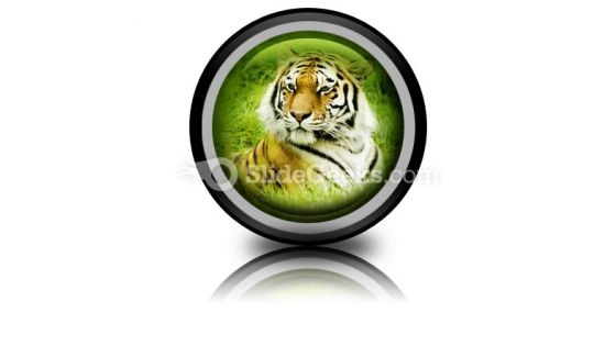 Amur Tiger PowerPoint Icon Cc